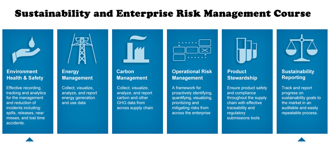 The effect of supplier sustainability risk management strategies